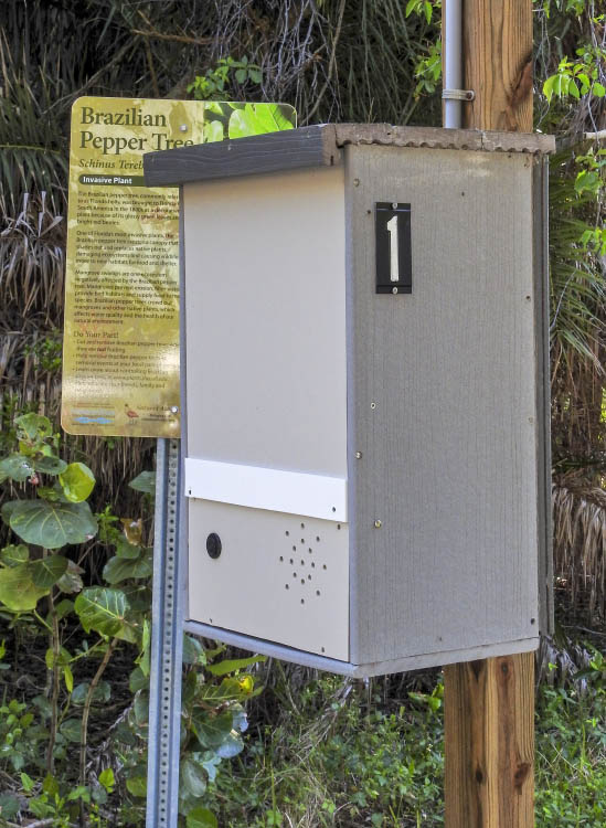 Barrier Free touch-activated speaker box